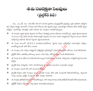 Child Care Leave Complete Details and Application , Model Proceeding